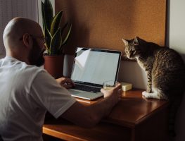 Quer trabalhar de casa? Veja mais de 840 vagas abertas para home office