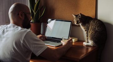 Quer trabalhar de casa? Veja mais de 840 vagas abertas para home office